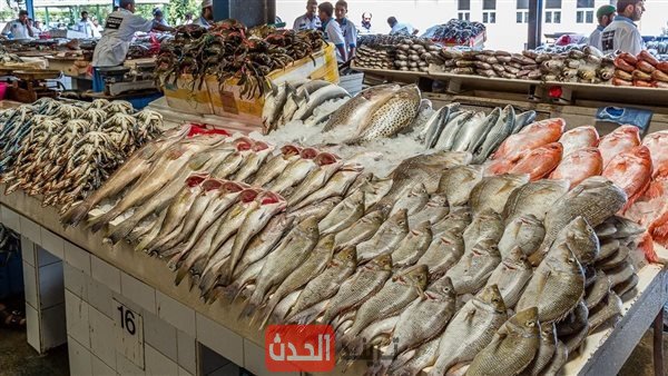 أسعار السمك والمأكولات البحرية