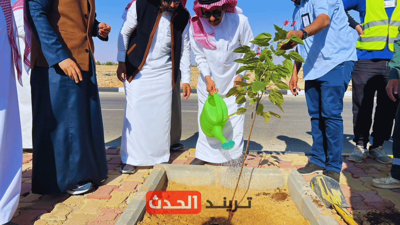 برنامج التشجير الوطني