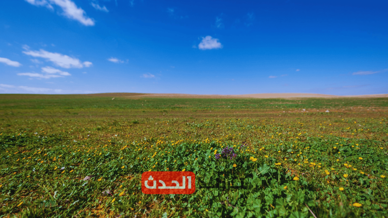 محمية الإمام تركي بن عبدالله