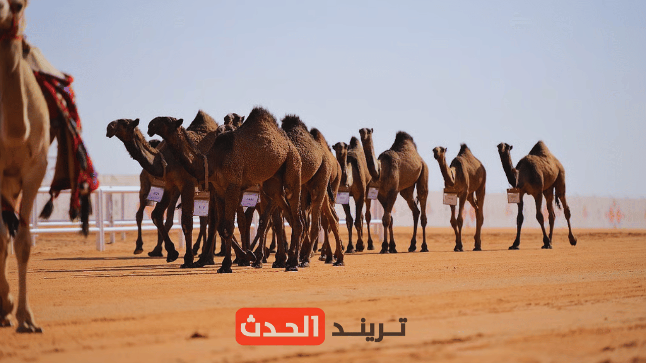 شوط "الرؤية" للمفاريد يدعم الاقتصاد